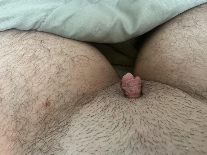 Like my pumped dick?