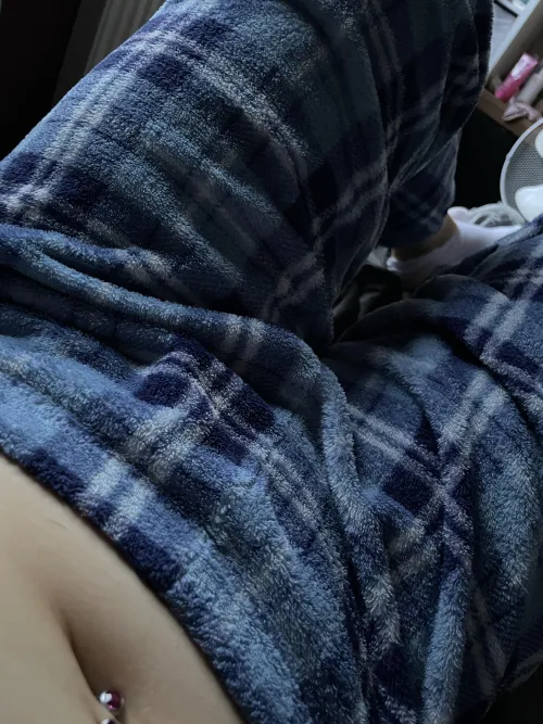 Look at how fluffy and cozy they are 