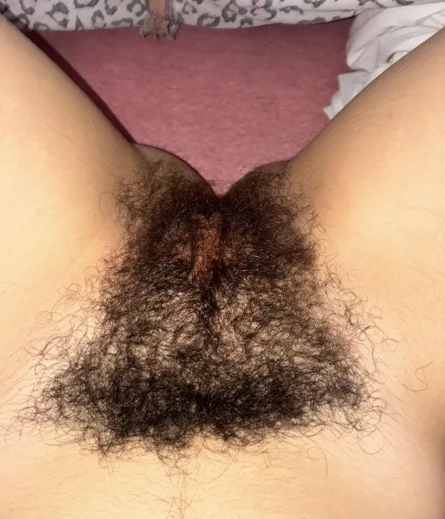 Look what a beautiful bush