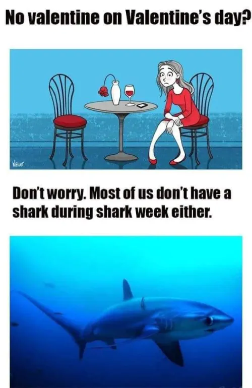 Looking for a couple more people so maybe Valentines Day works for some