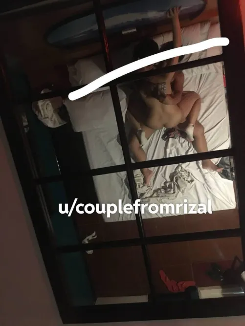 Looking for bull for poly setup