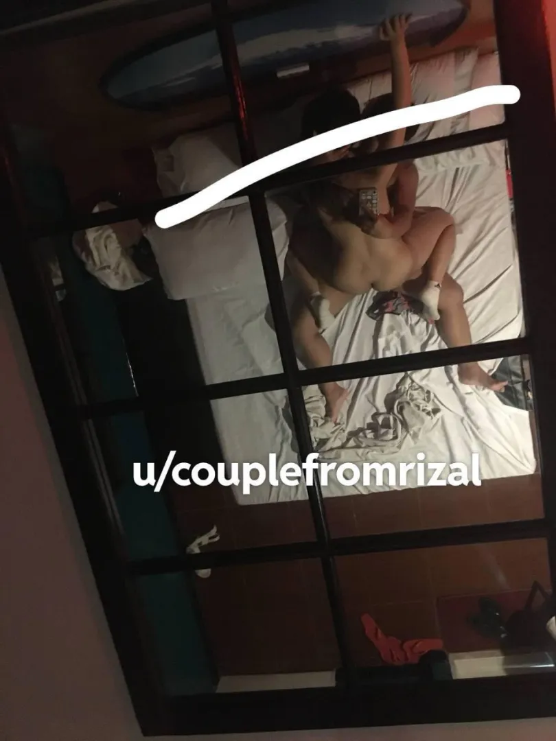 Looking for bull for poly setup