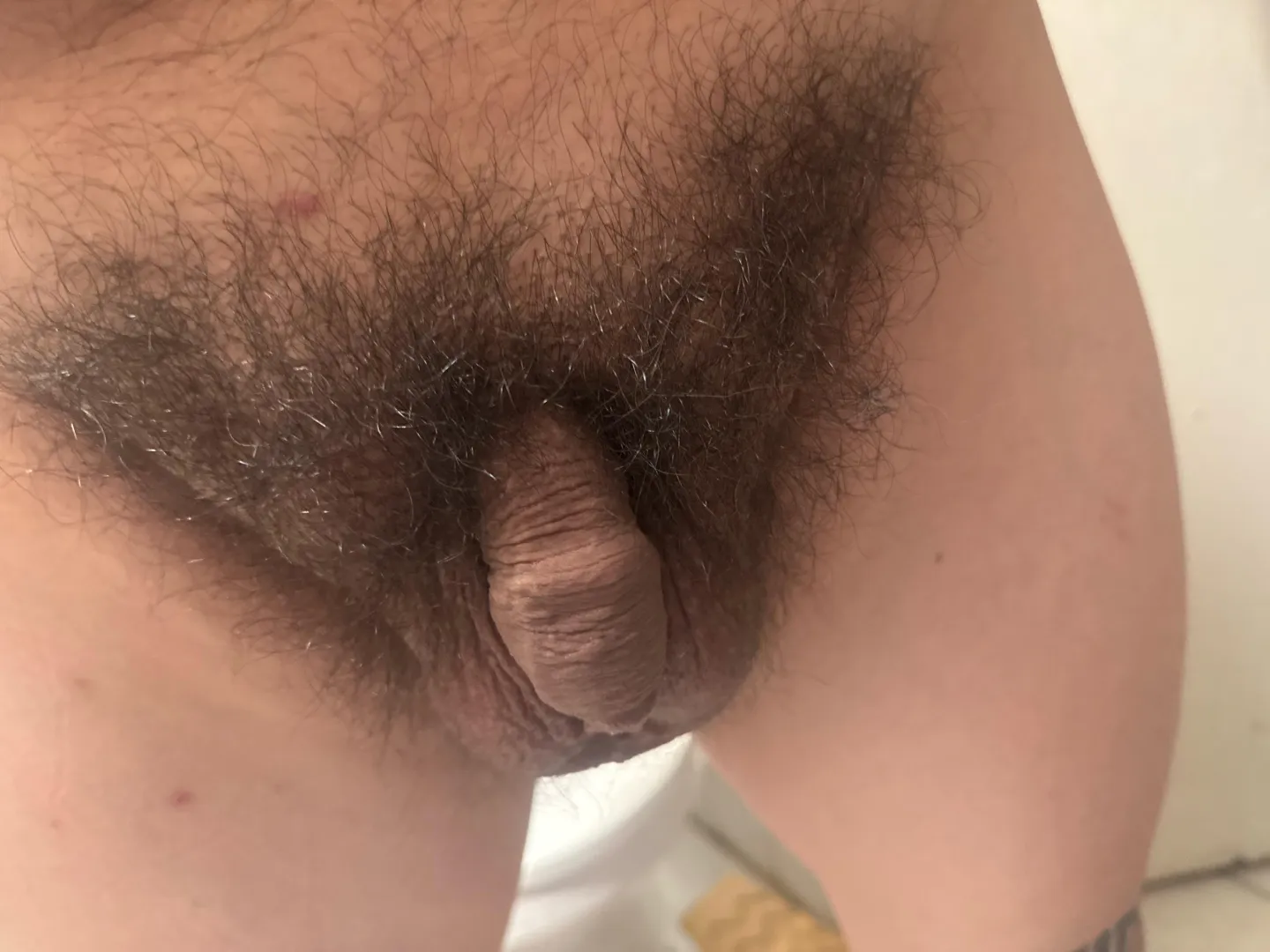 Looking for his princess