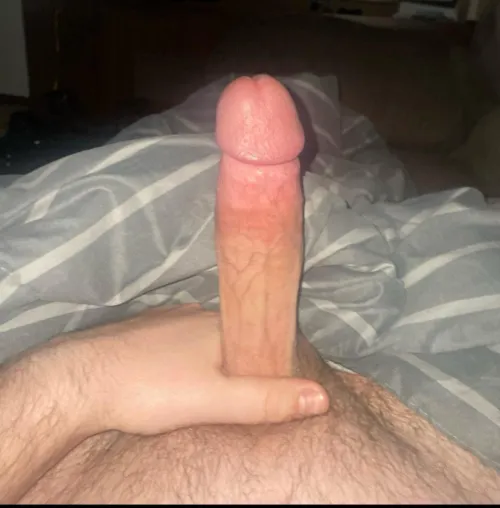 Looking for some throat other hung cocks…