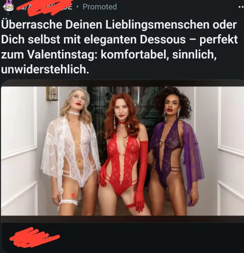 Looking for the accessories from this ad.