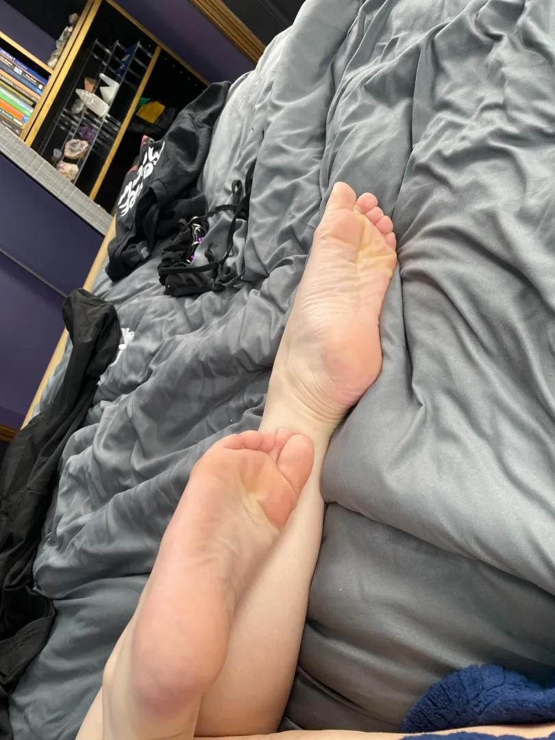 lounging in bed today