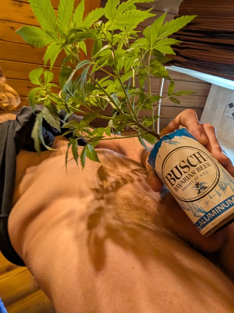 Love a good (M)omma bush