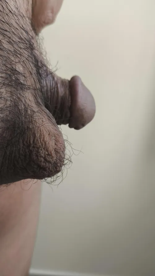 M 35 here with my tiny dick. Is it suckable?