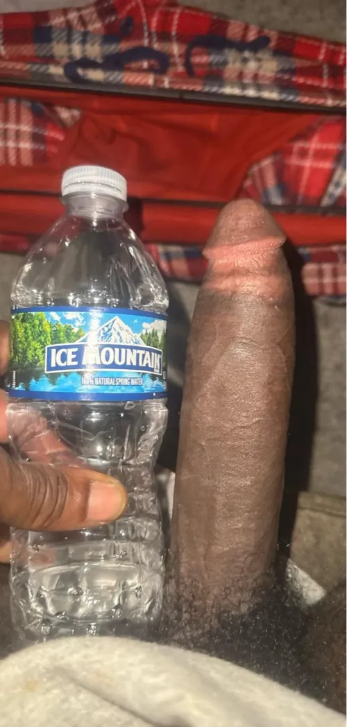 M 4F can travel near Michigan Indiana border