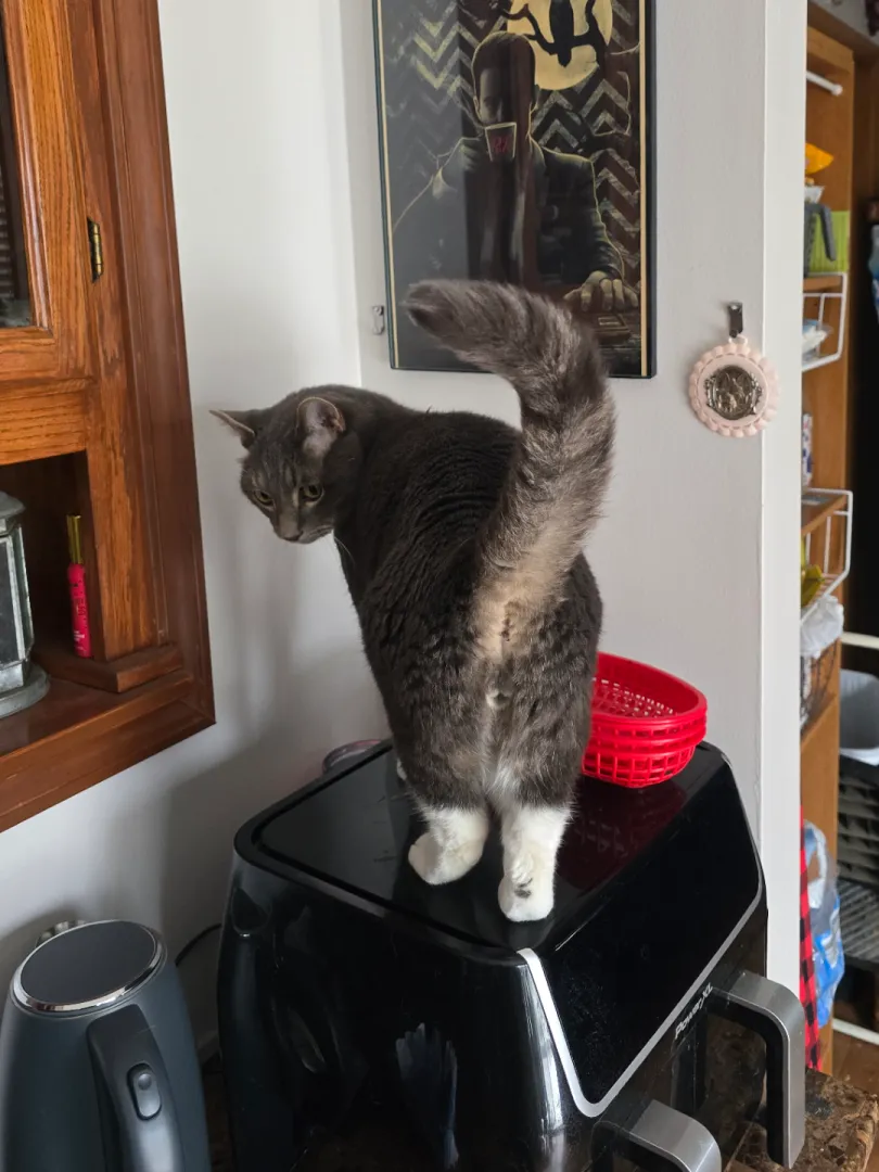 [M] Coy over the shoulder gaze