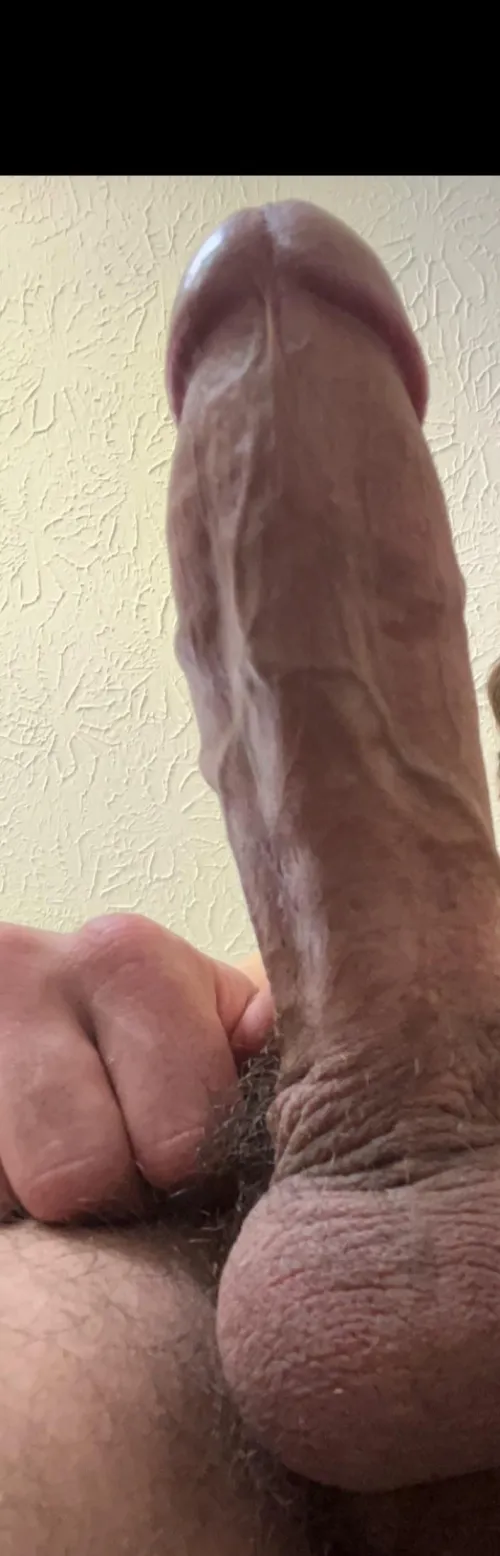 [M] Guess how big