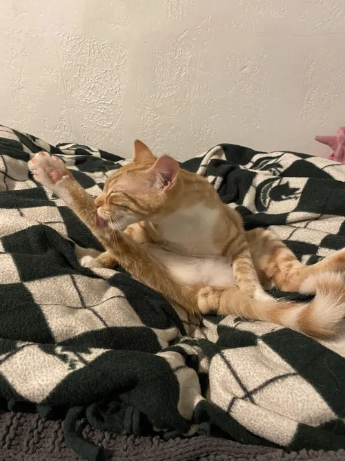 [m] spread wide and not shy