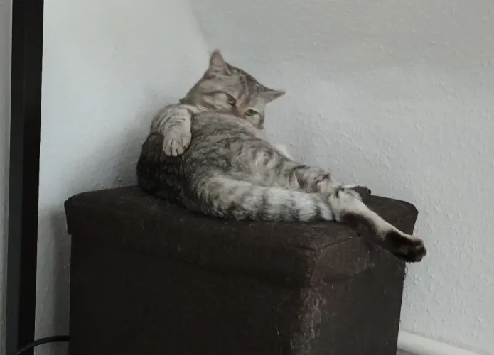 [m] Two minutes into netflix & chill and he gives you this look. What do you do?