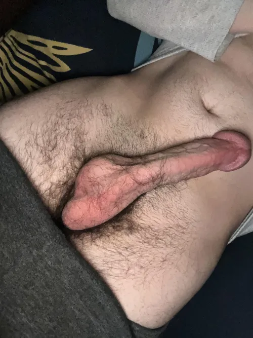 [m] who need bull