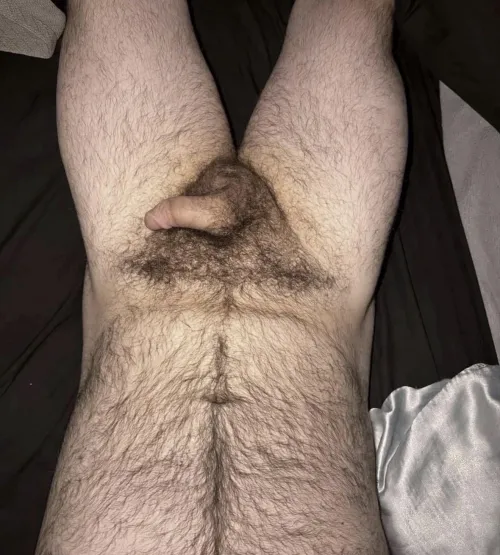 M22. Looking for a hairy white masc bro to jerk and cum with. Country+ blue collar+ frat+ jocks+ bush+ face+ vidcall+ musk+ long term+ USA+ kinky+ verbal+ roleplay+ fit (not required but a plus) snap: henry_j2085