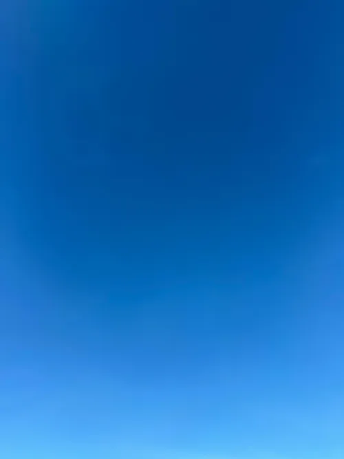 M32 F27 looking for bi bull