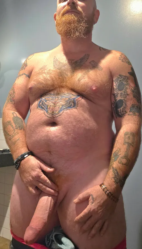 M45 Bull looking for playmates.