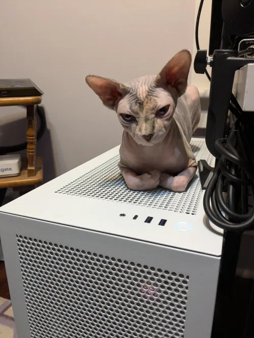 Marlena Monday - PC edition