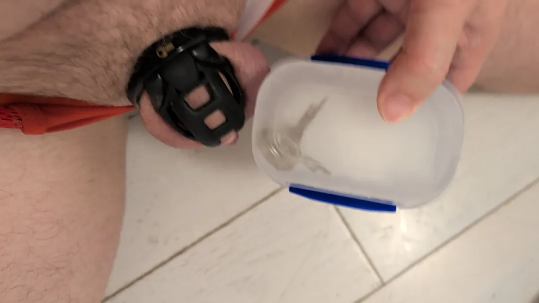 Master wants me to post this.