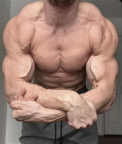 Mature muscle. (39)
