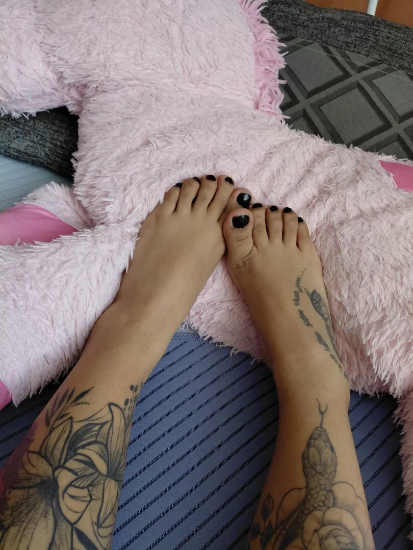 Me dejas ponerlos en tu cara?