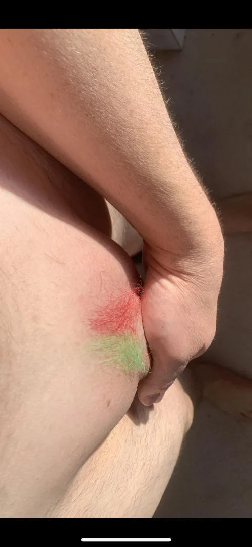 Merry Christmas DyedPubes!