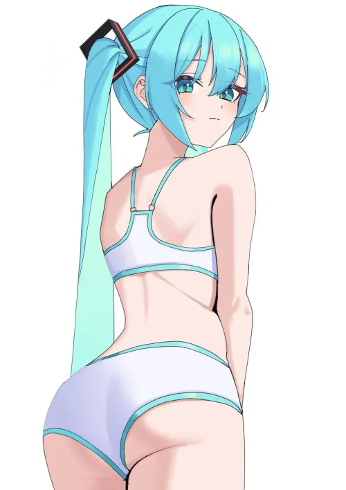 Miku Looking Cute in Training Wear [Vocaloid]