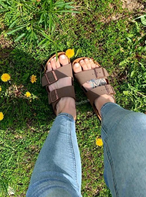 Missing the flowers and sunshine right about now! 