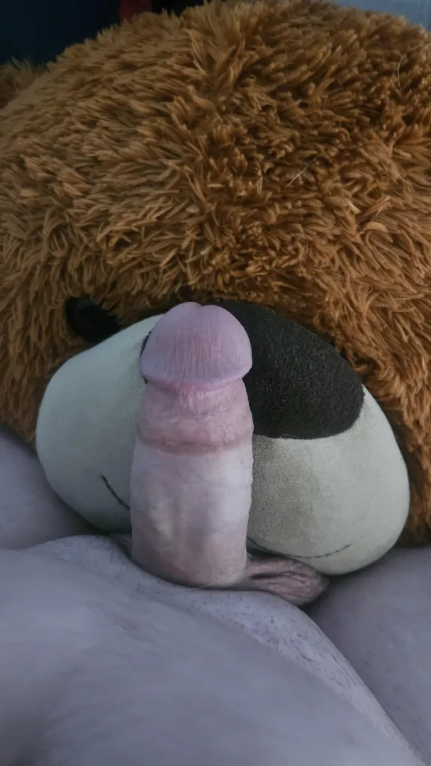 Mmm good teddy 