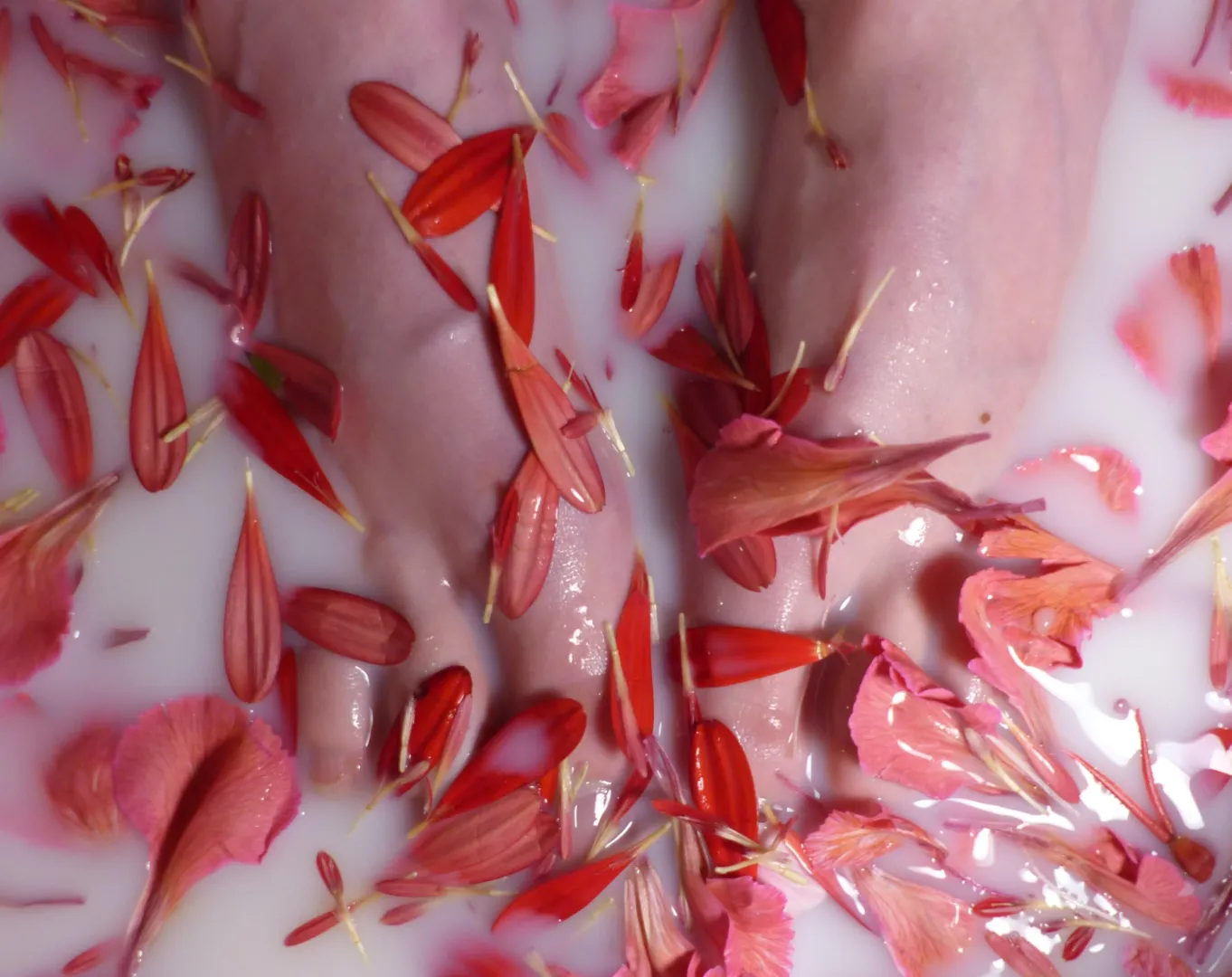 Moment de bien être ☺️