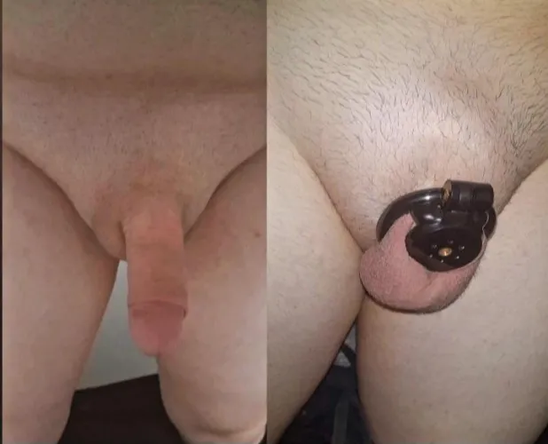 Mon clito de femelle est plus beau dans quel état ?