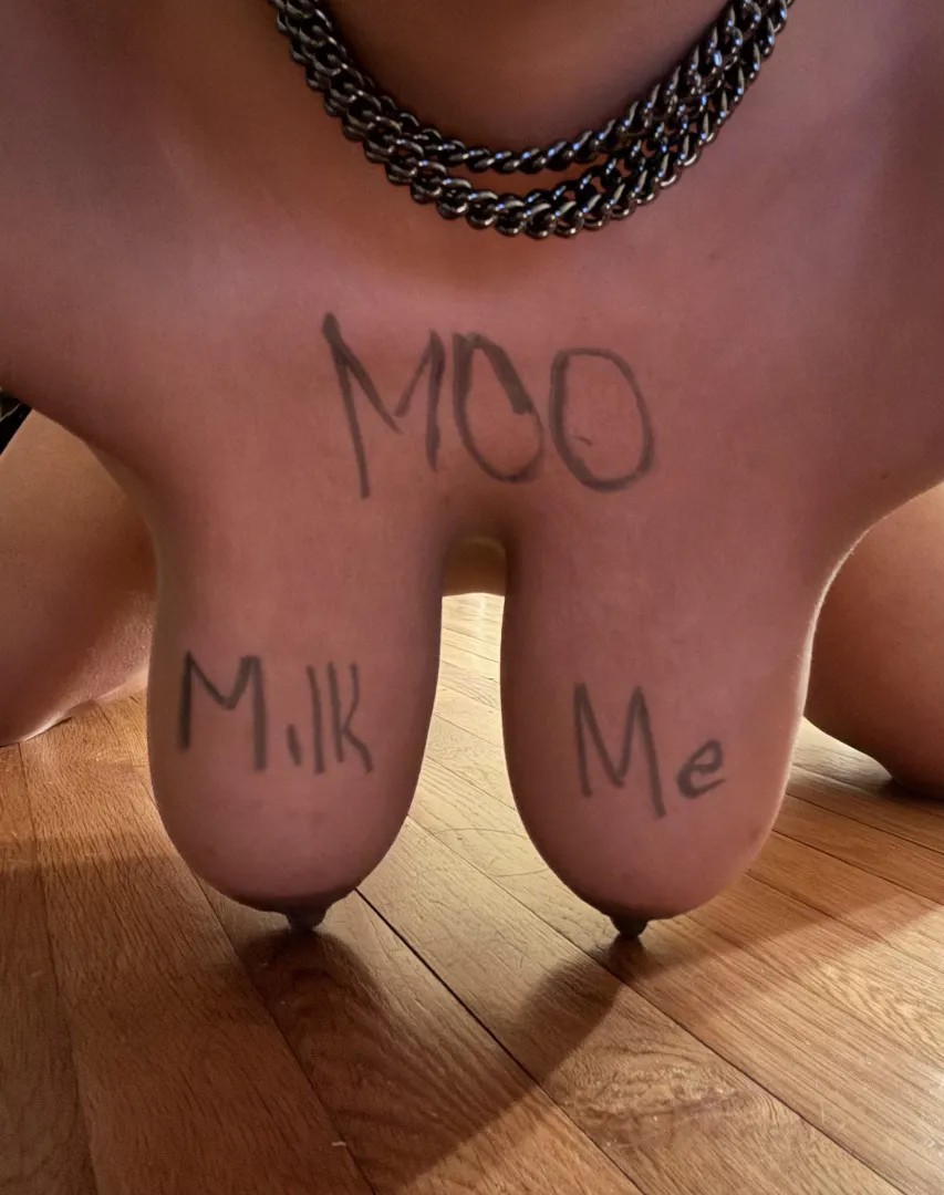 moooooo