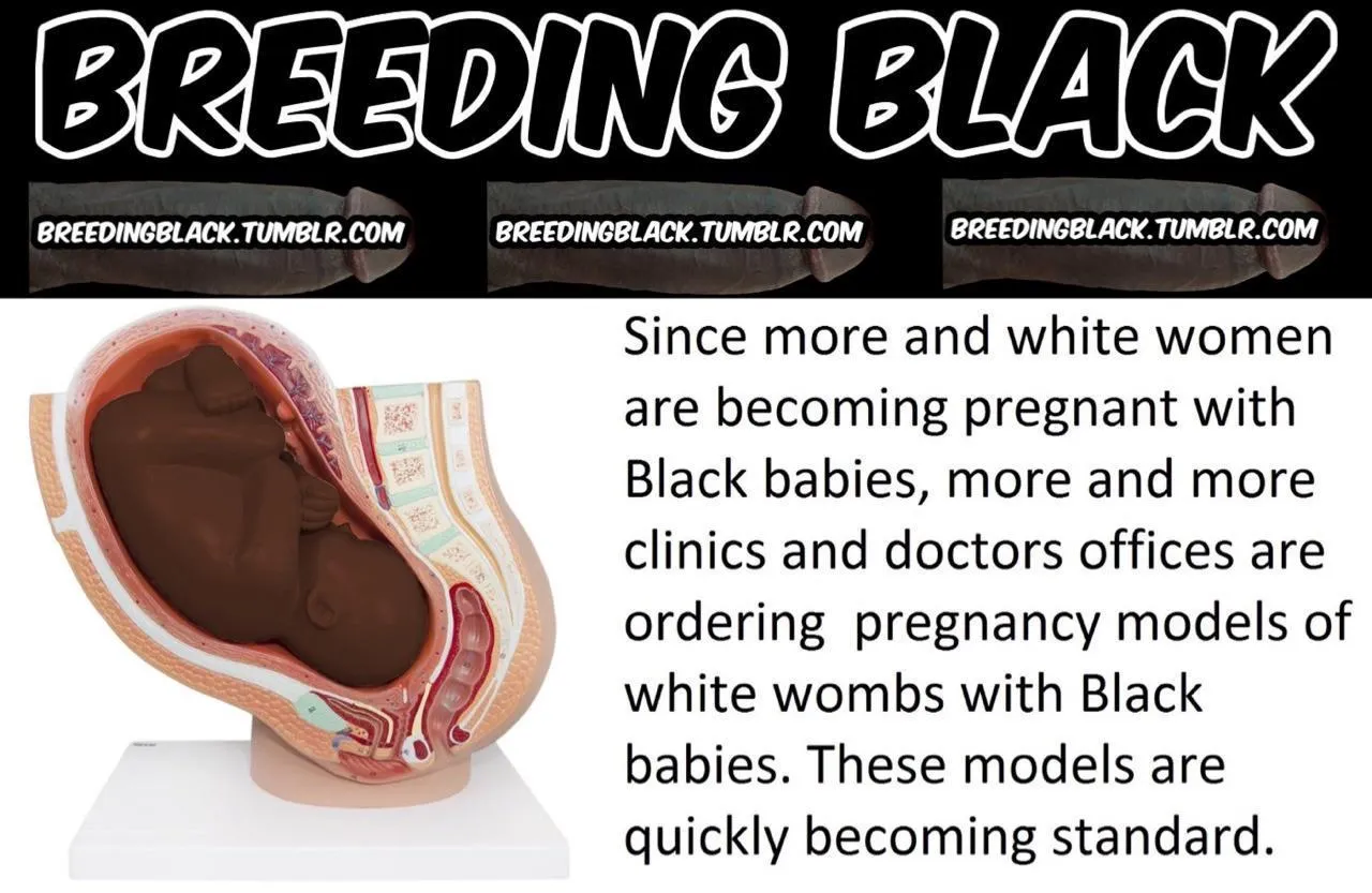 More and white women are becoming pregnant with Black babies
