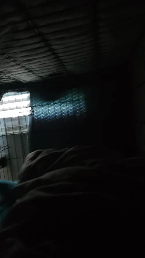 Morning fellow brats!