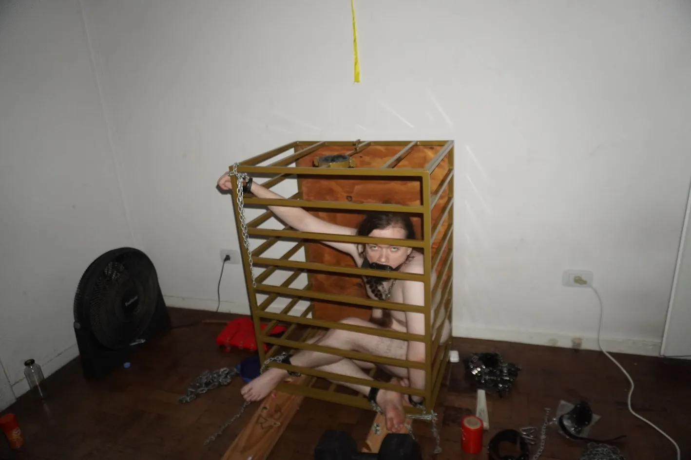 morning! just coming in to see how the training is going. no? no reaction? wow this really is breaking you, isn't it? don't cry, your punishment will be over in a couple days and you'll get some bread while i wash the dick gag. but unfortunately the c