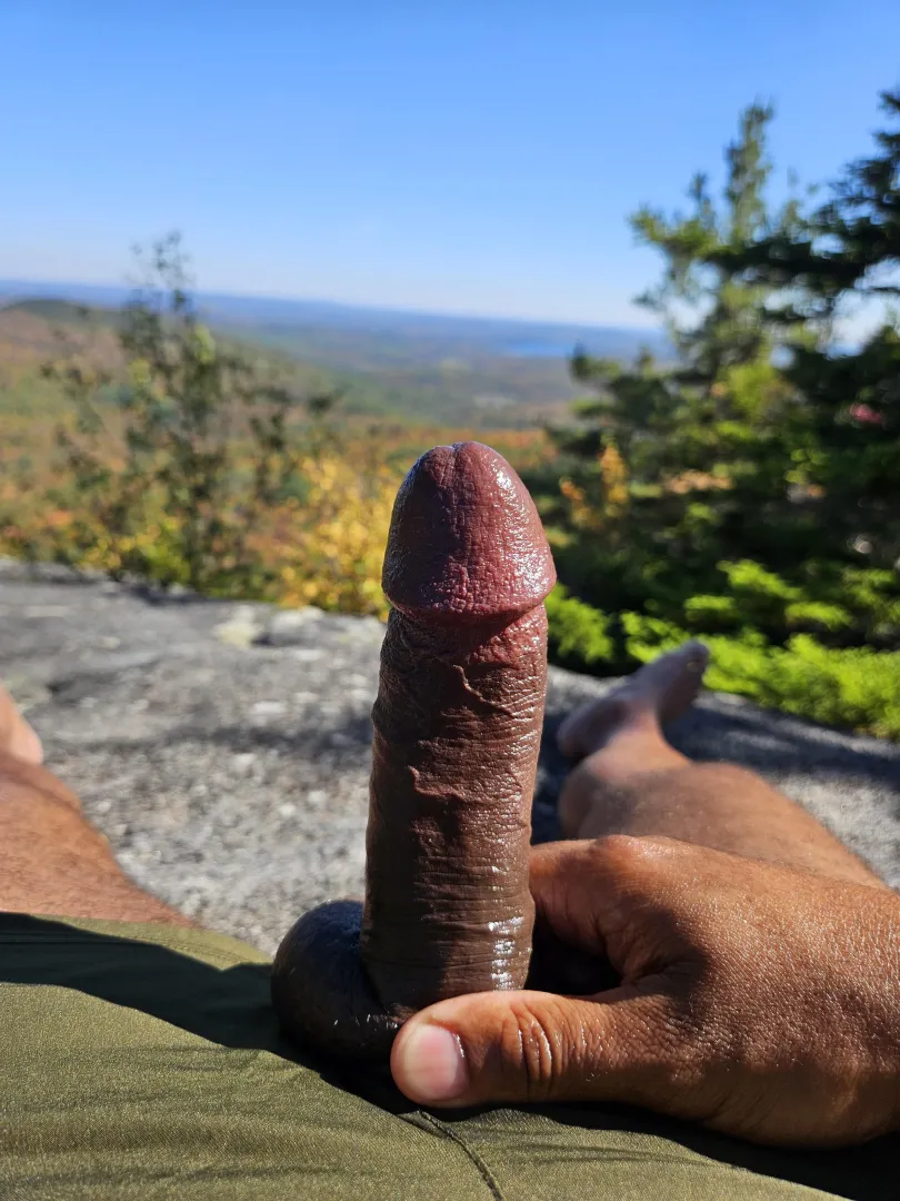 Mountain Top Cock [47]