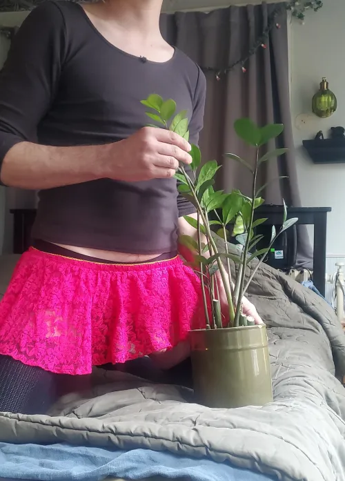 Much new growth on this zizi, just needed a little bit of TLC