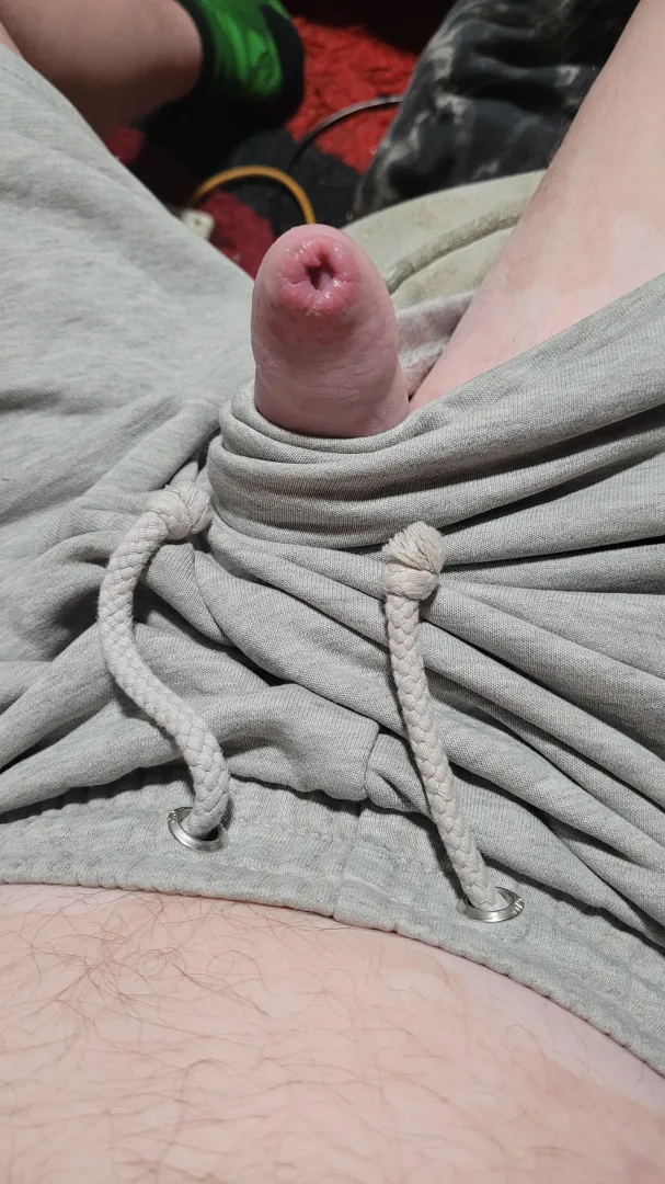 My cocks just popped out to say hello. Grey shots.