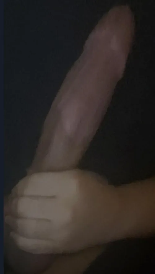 my iraqi dick