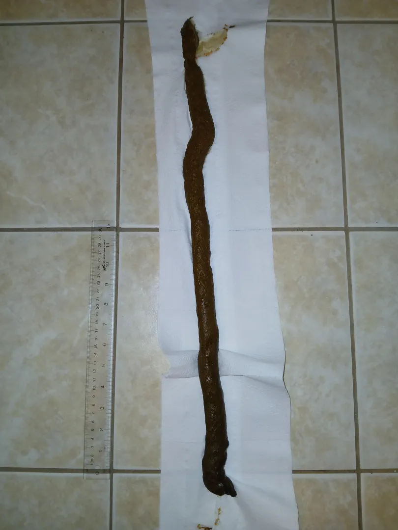 My long uninterrupted turd
