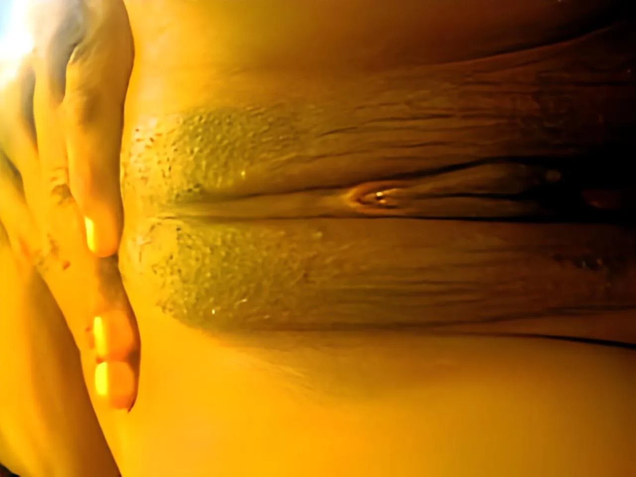 My vet nat bruin poes