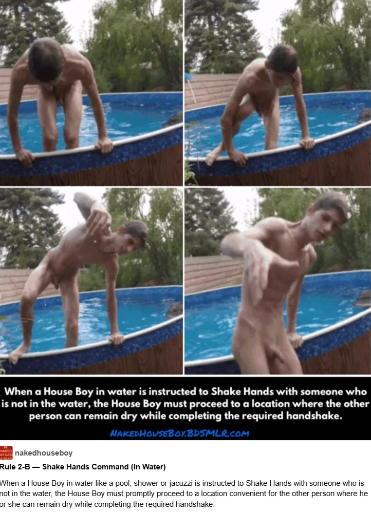 NakedHouseboy Rule 2-B — Shake Hands Command (In Water)