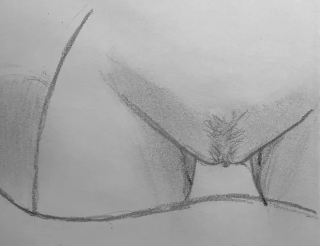 Nami's bush (not original, used reference)