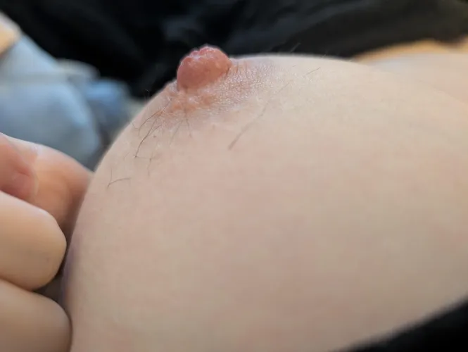 Nearly time to pluck