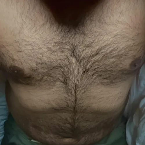 Need a bear bro to cuddle  (30)