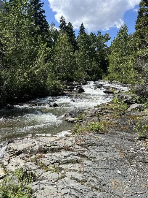 Need a bi bottom near greatfalls or billings. No older then 45 or under 30. Couples are possible if male is bi.