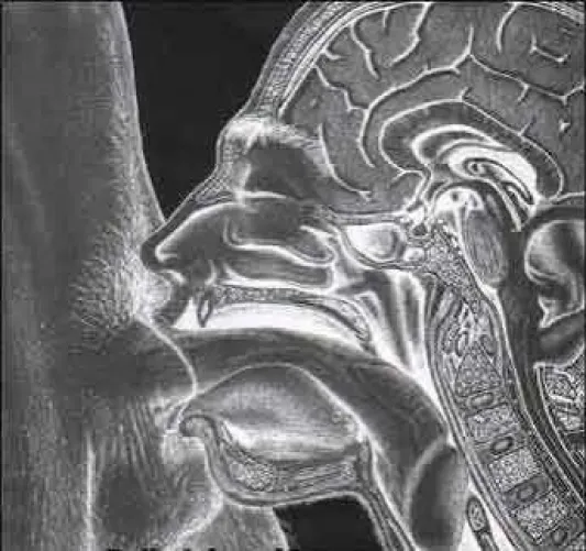 Need your best throat? 26M looking to suck