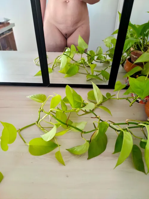 Neon pothos and...a shy french mama  