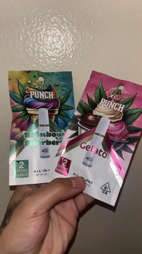 New 2g punch disposables