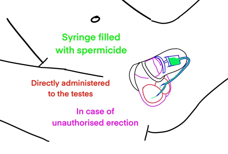 New chastity prototype. Would you sign up for the trial?